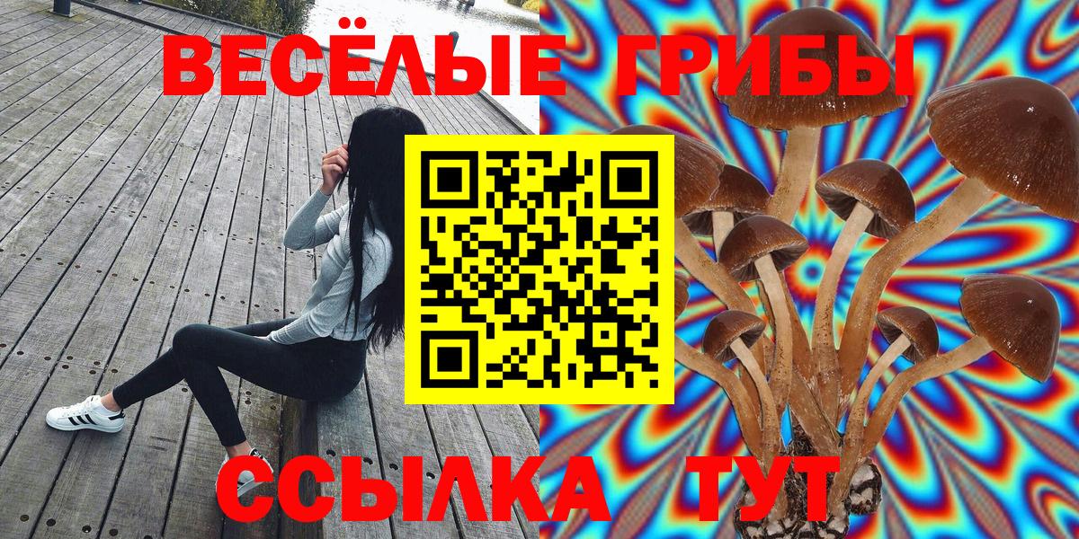 Псилоцибиновые грибы Psilocybine cubensis  Псилоцибиновые грибы Magic Shrooms  Михайловка  Вход с VPN 
