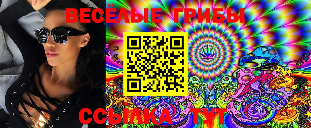 Псилоцибиновые грибы Psilocybe Михайловка